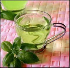 فروش چای سبز لاهیجان با خاصیت جوان کنندگی پوست