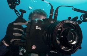 دوره های آموزشی عکاسی و تصویر برداری زیر آب