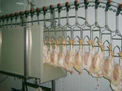 تجهیرات و ماشین آلات کشتارگاه مرغ