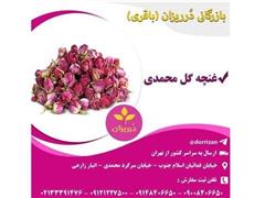 فروش عمده غنچه گل محمدی