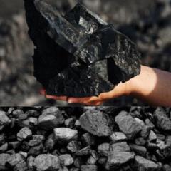 تولید و فروش و صادرات انواع زغال