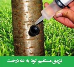 تزریق مستقیم کود مایع ویژه تزریق به تنه درخت